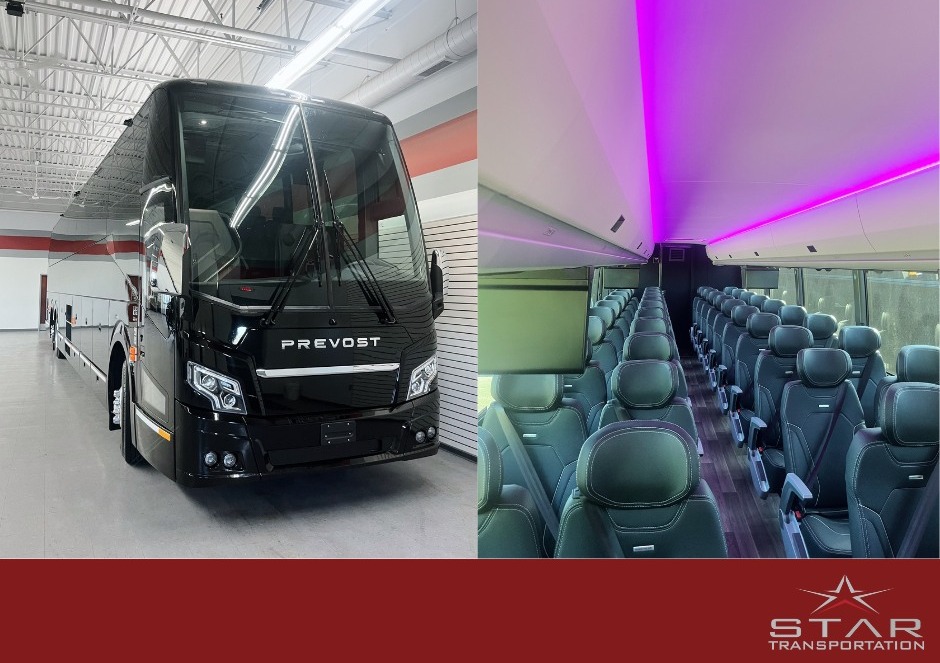 Professional Chauffeur